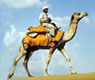 Rajasthan Desert