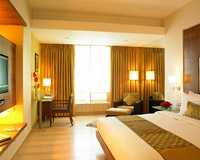 Guest Room - The Mirage