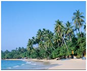 Unawatuna Beach Galle